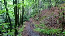 Blick auf die Wanderstrecke entlang des Eselsteiggrabenbachs 